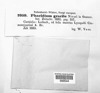 Image Associated With the Occurrence